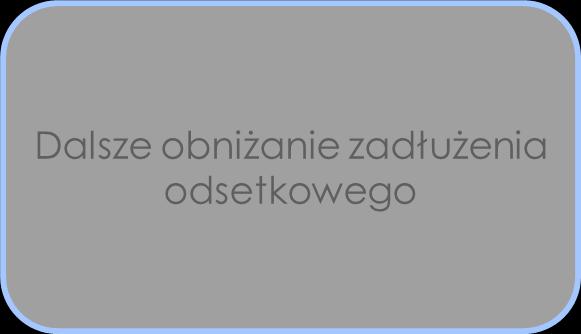 Wyzwania na kolejne kwartały 2013 Wprowadzenie pierwszych leków