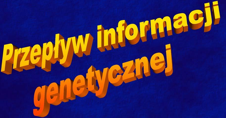 Przepływ informacji genetycznej Centralny dogmat biologii molekularnej opisuje przepływ