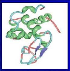 C-końcowa domena Monomer katalazyperoksydazy Mycobacterium tuberculosis.