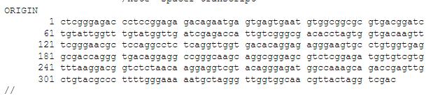 1. Replikacja DNA: kierunek Tworzenie wiązania fosfodiestrowego determinuje kierunek replikacji DNA in vivo: zawsze od końca do końca 3 nowej nici.