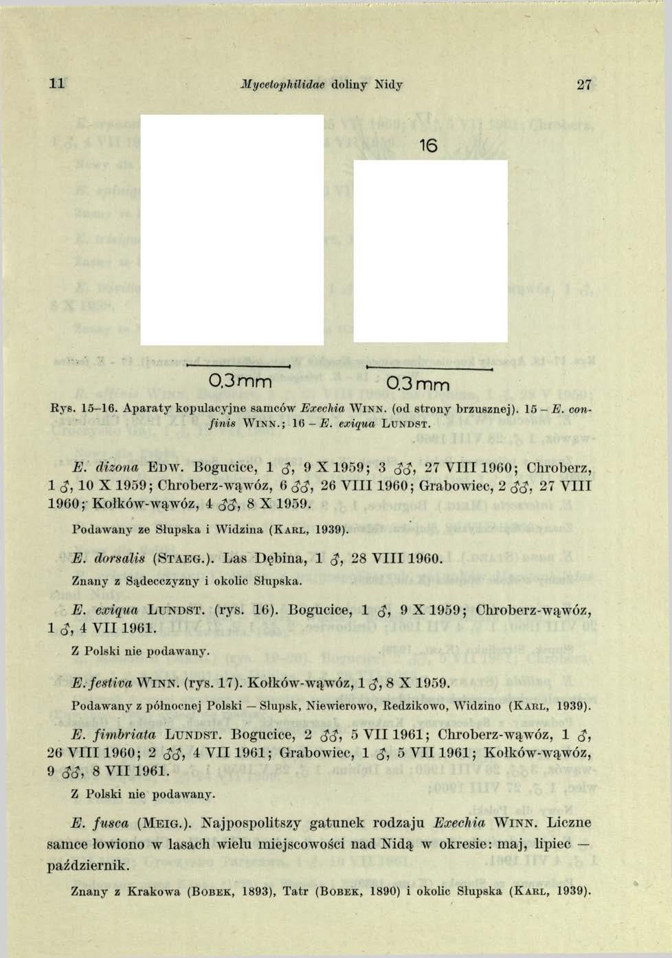 11 M ycetophilidae doliny Nidy 27 16 0,3m m 0.3 mm R ys. 15-16. A p a ra ty kopulacy jn e sam ców Execliia W i n n, (od stro n y brzusznej). 15 - E. eonfin is W i n n.; 1 (i - E. exiqua L u n d s t.