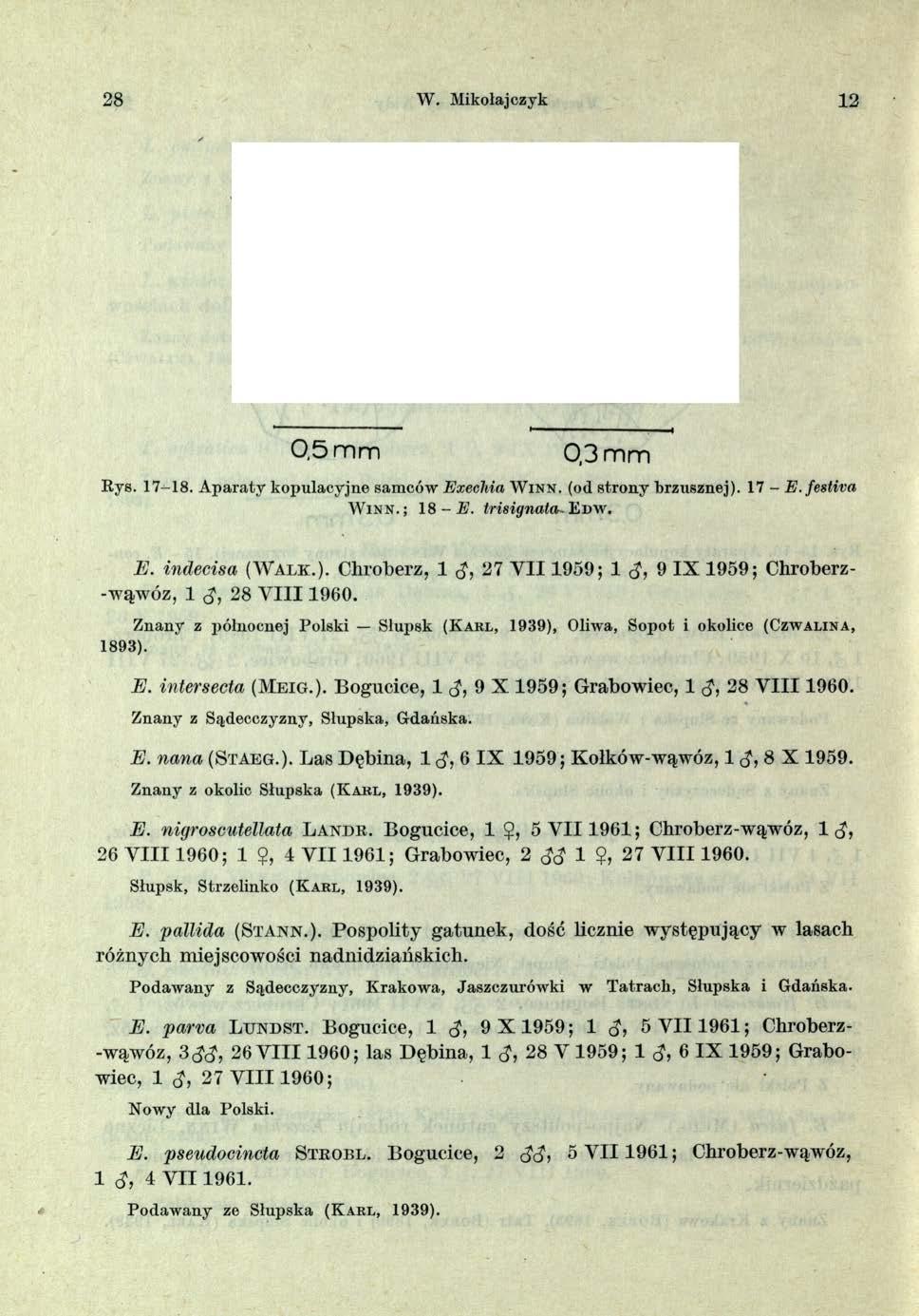 28 W. Mikołajczyk 12 0,5 mm 0,3 mm R ys. 1 7-1 8. A p a ra ty k o p u lacyjn e sam ców E xechia W i n n, (od s tr o n y b rz u sz n e j). 17 - E.fe stiv a W in n.; 1 8 -A 1, trisiynata. E n w. E. indecisa (W a lk.