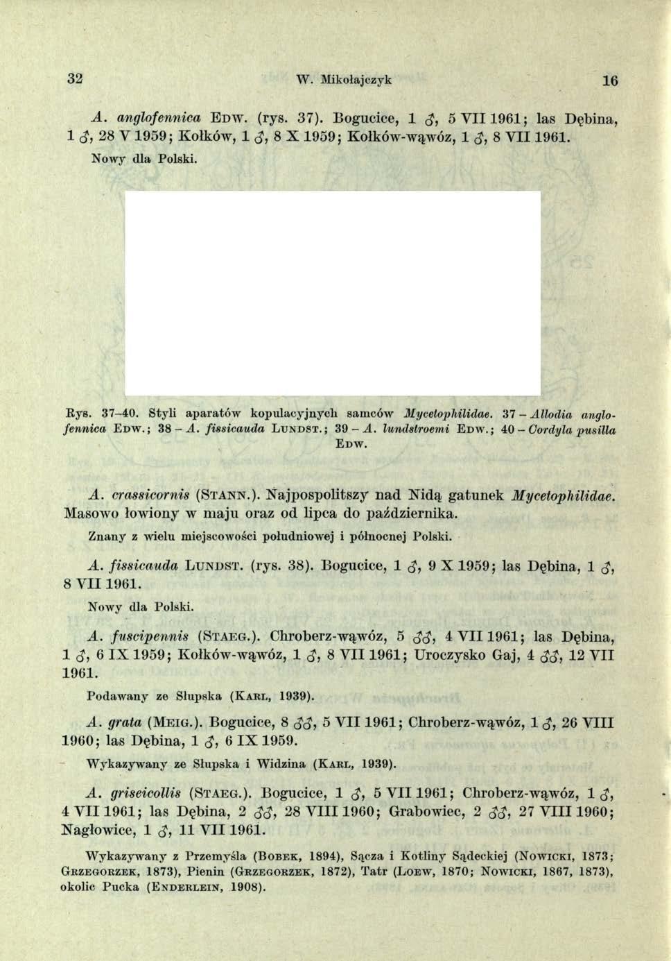 32 W. Mikołajczyk 16 A. anglofennica E n w. (rys. 37). Bogucice, 1 <$, 5 V I I 1961; las Dębina, 1 (J, 28 V 1959; Kołków, 1<J, 8 X 1959; Kołków-wąwóz, 1 8 Y I I 1961. 37 38 391 0,3 mm 0,1 mm R ys.