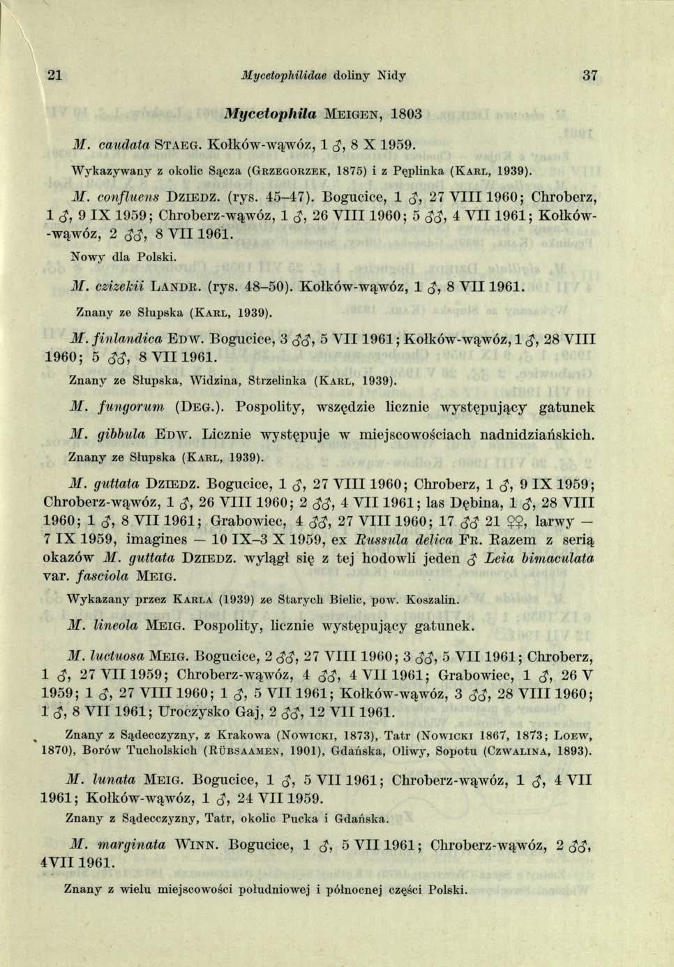 21 M ycetophilidae doliny Nidy 37 Mycełophila M e i g e n, 1803 M. caudata S t a e g. Kołków-wąwóz, 1 3, 8 X 1959.