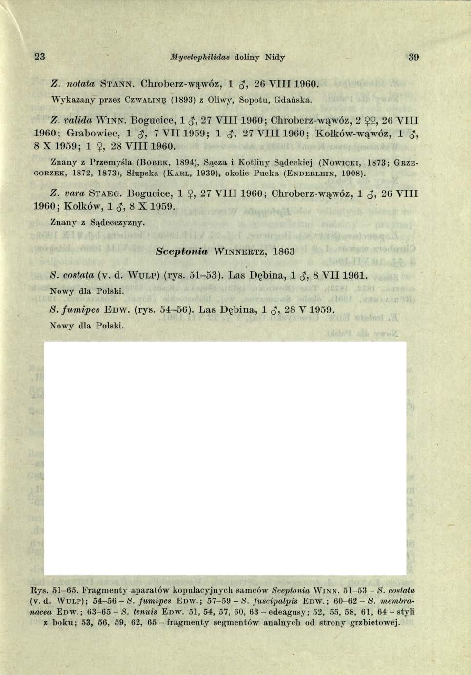 23 M ycetophilidae doliny Nidy 39 Z. notata S ta n n. Chroberz-wąwóz, 1 26 Y I I I 1960. W y k azan y p rz e z C z w a l in ę (1893) z Oliwy, S o p o tu, G dańska. Z. valida W in n.