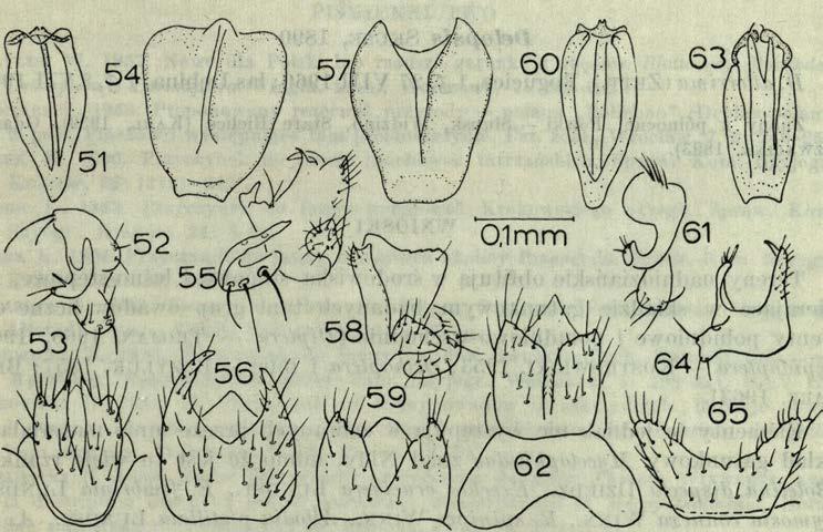 Z n an y z P rzem y śla (B o b e k, 1894), Sącza i K o tlin y Sądeckiej (N o w ic k i, 1873; G r z e g o r z e k, 1872, 1873), Słupska (K a r l, 1939), okolic P u c k a (E n d e r l e in, 1908). Z.