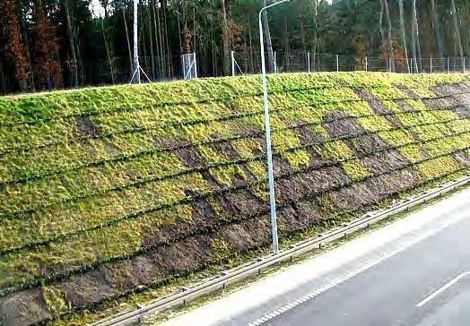 m: 1:0,5 w iłach i mieszaninach frakcji iłowej z piaskową i pyłową, zawierających powyżej 10% frakcji