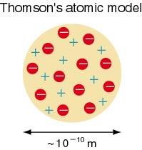 puddig model).