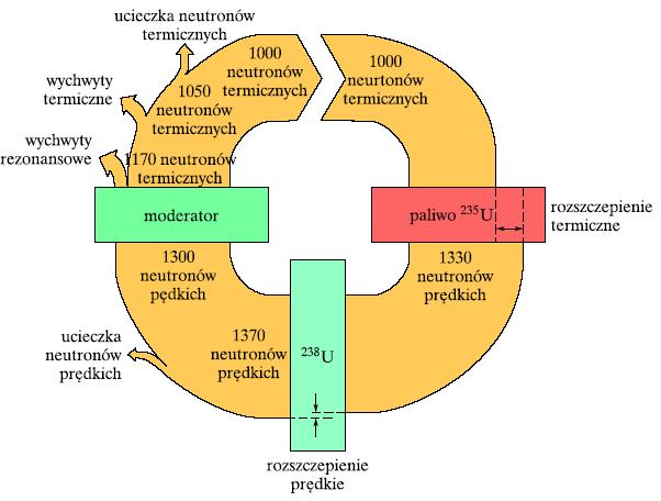 bilns neutronów K - współczynnik mnożeni K= Liczb neutronów w dnym