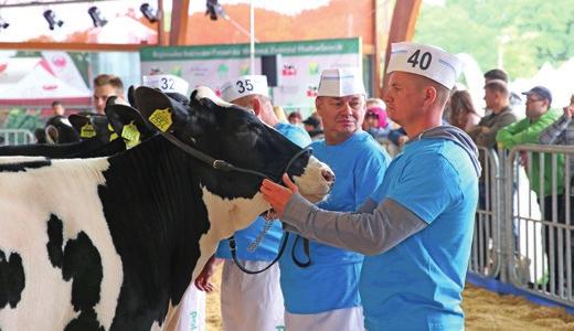 Ocena Wartości Użytkowej Ocena Bydła Wartości Użytkowej Ras Bydła Ras Mlecznych Tabela 13: cd. L.p. Właściciel stada/obory Warmińsko-Mazurskie Lokalizacja stada/obory Rej. ml. skup. Met. oc. Przec.