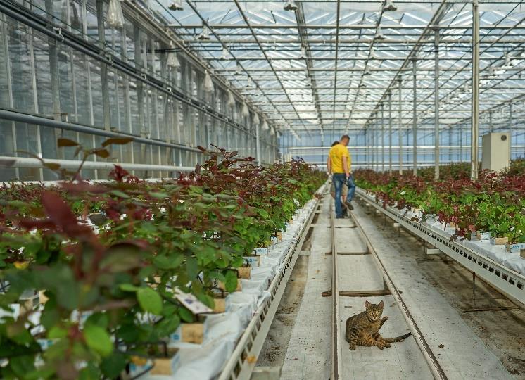 MATERIAŁY I ZASADY WYKORZYSTYWANE W TRAKCIE WDROŻENIA PRACOWNIKA dokument planu wdrożenia ankiety ewaluacyjne oraz oceniające standardowy pakiet pytań sprawdzenia po każdym etapie wdrożenia stały