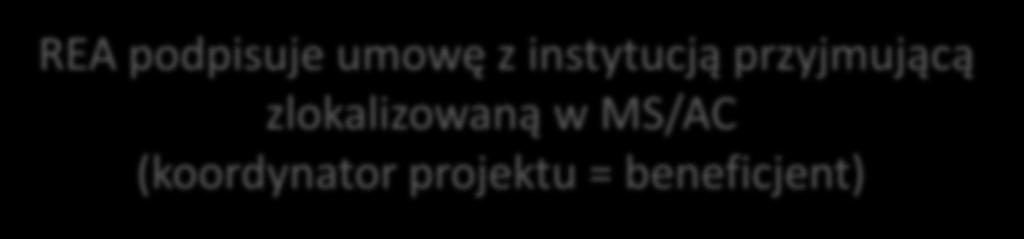 IF zasady zatrudnienia REA podpisuje umowę z instytucją