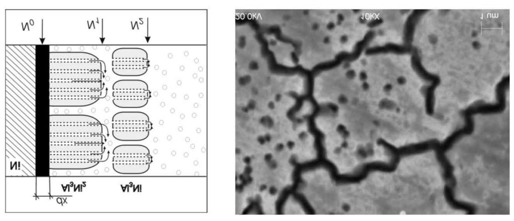 stuated among some cells of Al 3 N 2 or Al 3 N phases formed n a gven sub-layer, respectvely; a/ zone dx s just formed, b/ begnnng of the zone dx formaton; a reacton wthn the zone dx s: lqud(n F ) +