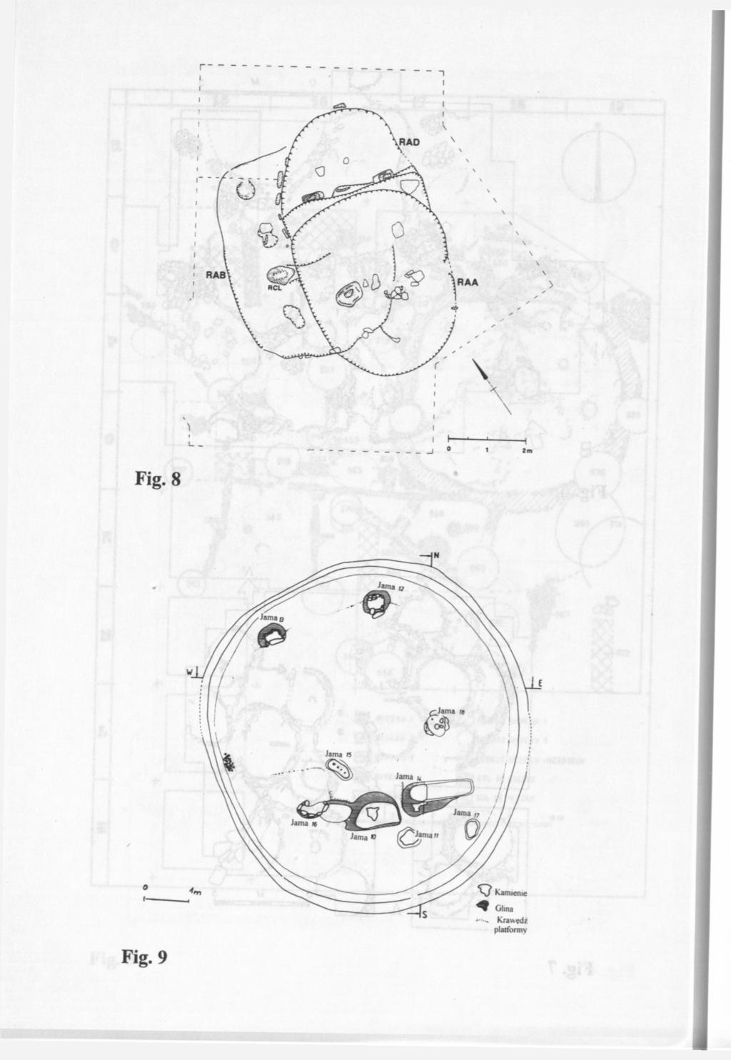 Fig. 9 г