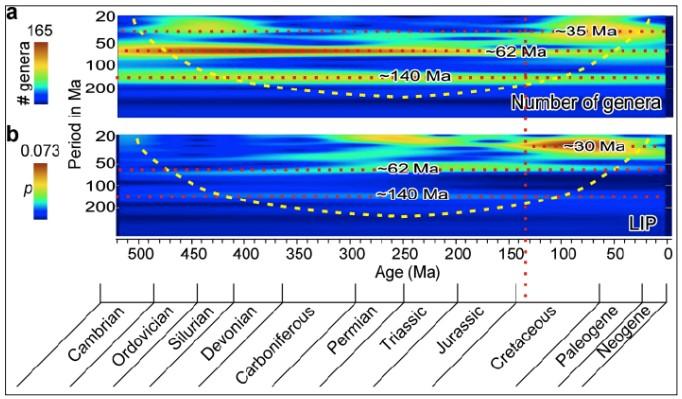 Bioróżnorodność a wylewy magmy Analiza częstotliwości (metoda wavelets) czasu powstania rodzin organizmow morskich (Rohde & Muller 2005) (na