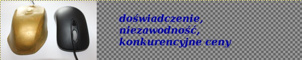 Zadanie egzaminacyjne Wykonaj aplikację internetową firmy zajmującej się usługami informatycznymi. Wykorzystaj do tego celu edytor zaznaczający składnię oraz program do obróbki grafiki rastrowej.
