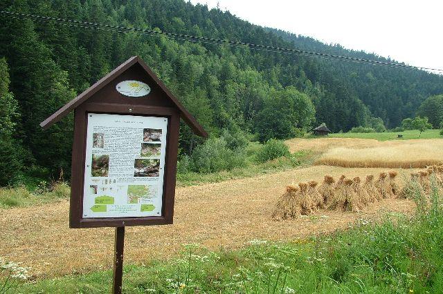 Ścieżka przyrodnicza Słopnice - Zaświercze - fot. A.
