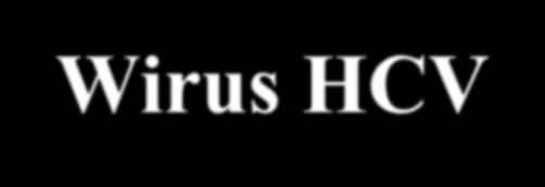Wirus HCV