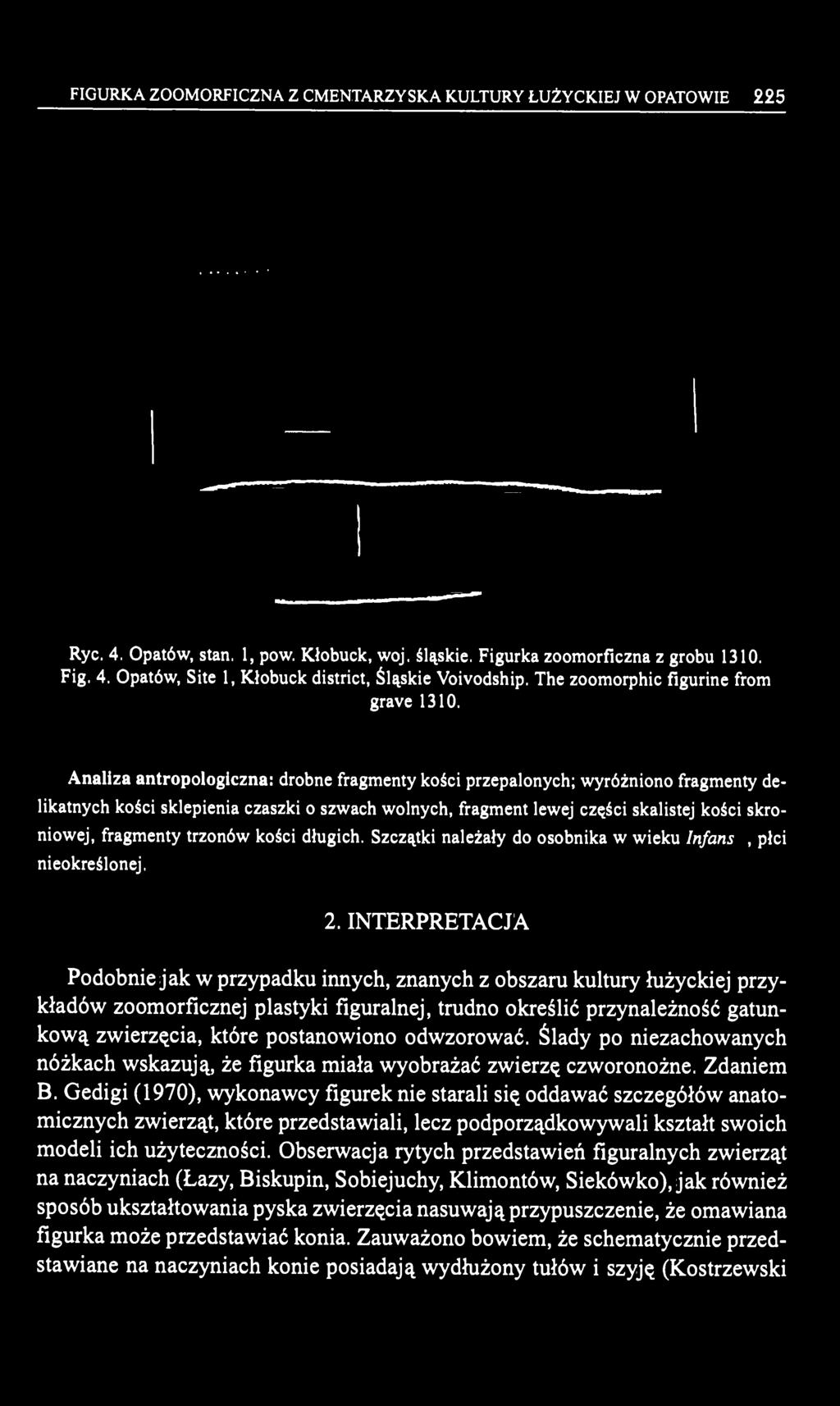 Analiza antropologiczna: drobne fragmenty kości przepalonych; wyróżniono fragmenty delikatnych kości sklepienia czaszki o szwach wolnych, fragment lewej części skalistej kości skroniowej, fragmenty