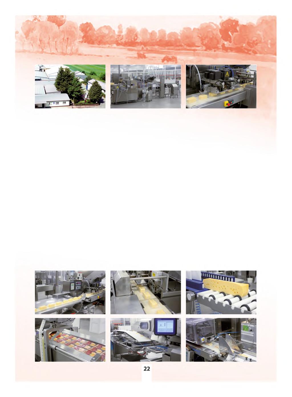 r TMT" Ltd is situated in Łomża, north-eastern region of Mazovia. We started our activity on Feb. 4, 1991.