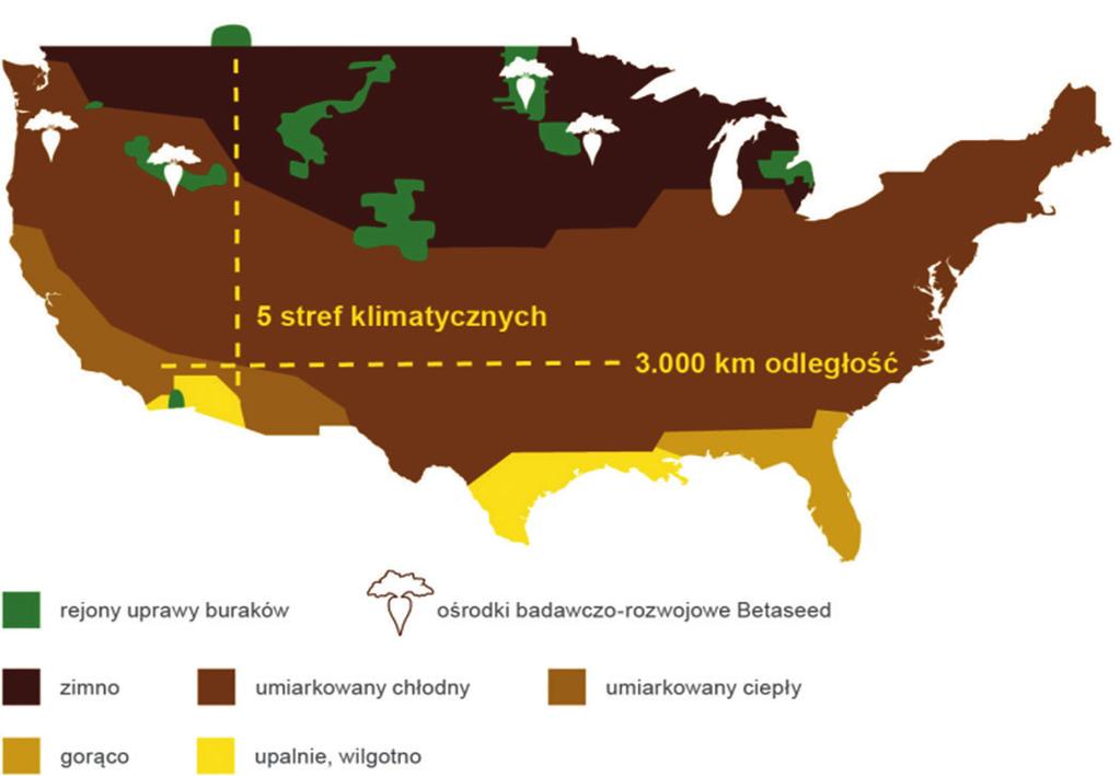 POCHODZI Z USA ROŚNIE W EUROPIE W Stanach Zjednoczonych jest jedenaście regionów, w których uprawia się około 500 tysięcy hektarów buraków cukrowych przerabianych przez 23 cukrownie.