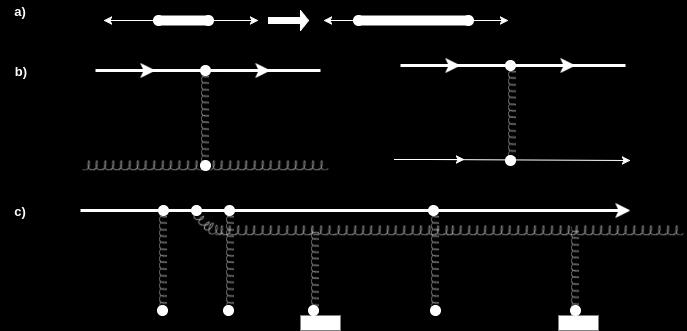 creation releases the energy stored in the tube, which is observed as jets. The energy loss is then: de dx K = 0.9 GeV/fm, (2.12) where K is the string tension of the flux tube (Figure 2.