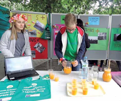 cytryny Zielony odlot 2 zielone jabłka garść