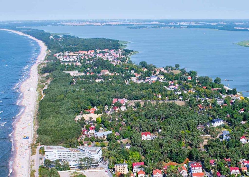 Orła