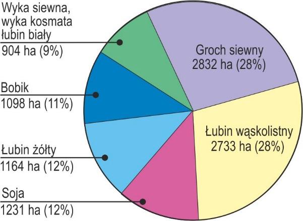 108 Różnorodność gatunków bobowatych grubonasiennych uprawianych w Polsce pozwala na wielkokierunkowe ich wykorzystanie.