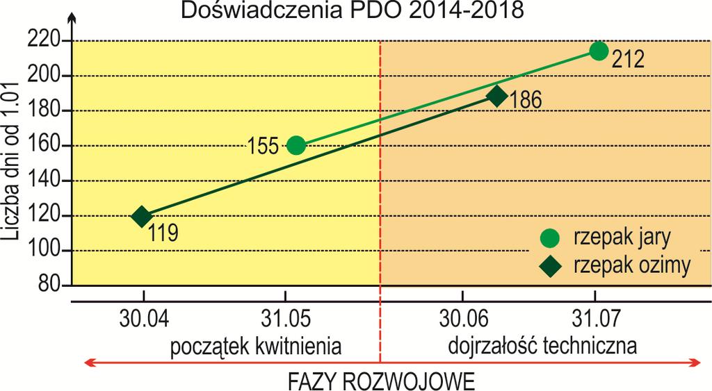 67 RZEPAK. WSTĘP Rzepak jest najważniejszą rośliną oleistą uprawianą w Polsce, zwłaszcza jego forma ozima. Dostarcza surowca do produkcji oleju z przeznaczeniem na cele spożywcze i biopaliwowe.