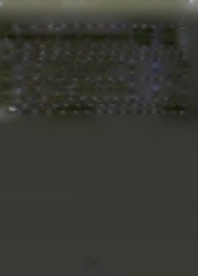 Dział Rozdział Paragraf Nazwa działu, rozdziału, paragrafu Przewidyw. wykonanie 1998 r. na 1999 r.