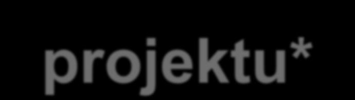 Zarządzanie ryzykiem projektu* Dr inż.
