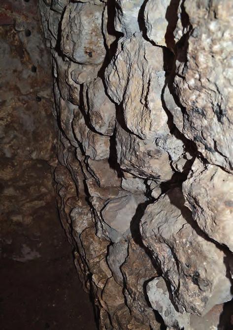 Przekrój nawarstwień archeologicznych w południowej ścianie wykopu 1/14