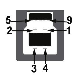 Interfejs uniwersalnej magistrali szeregowej (USB) W rozdziale tym zawarto informacje o gniazdach USB dostępnych w monitorze. UWAGA: Monitor ten jest zgodny ze standardem USB 3.0 Super-Speed.