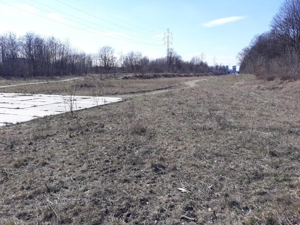 Fot. 6 Otwarte tereny dawnych torów