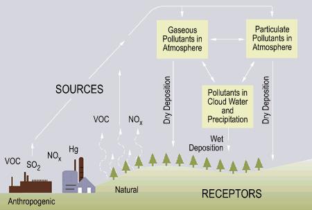 Kwaśne deszcze Surface waters (e.g.