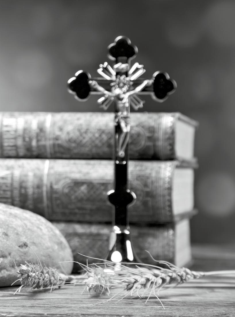 Rozalia i syn Leon 18:00 + Franciszek Domin, s. Józef 3 r. śmierci WTOREK 20 SIERPNIA 7:00 + Maria Górka w r. śmierci, m. Ignacy i synowie 7:00 Dziękczynna z prośbą o zdrowie, bł.
