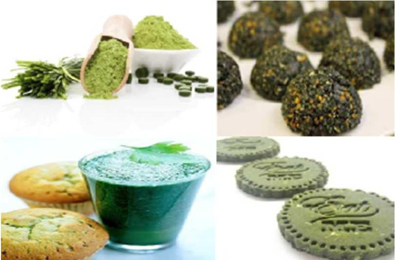 Cyjanobakterie suplementy diety Spirulina (Arthrospira)