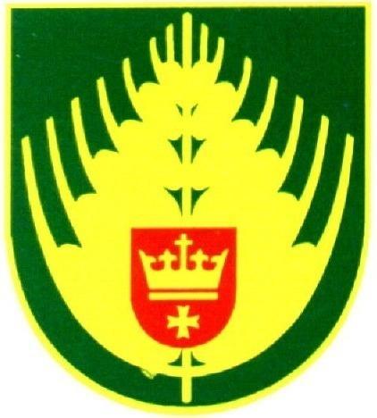 Wójt Gminy Starogard Gdański SPRAWOZDANIE roczne z wykonania budżetu gminy Starogard Gdański sprawozdania roczne z wykonania planów