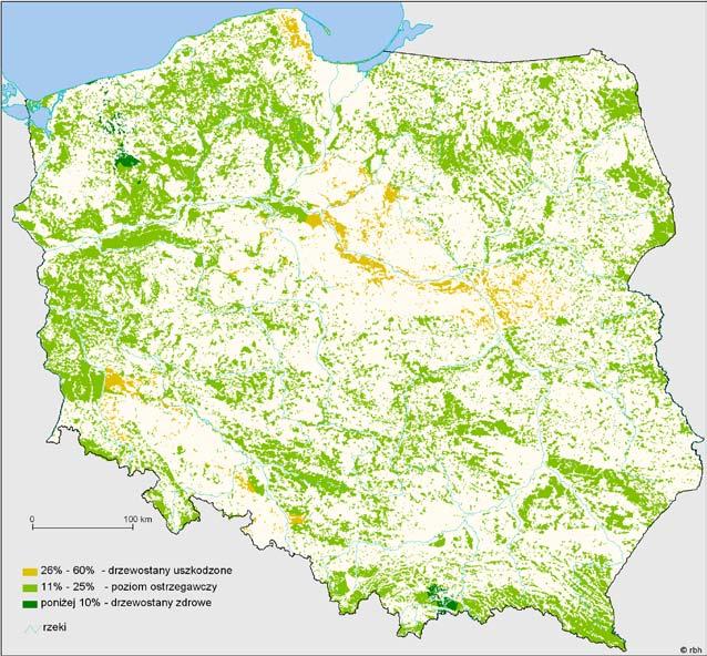 3.1. Zróżnicowanie uszkodzeń drzewostanów według form własności oraz według gatunków Udział drzew zdrowych (defoliacja 0-10%, klasa 0) wszystkich monitorowanych gatunków, niezależnie od formy