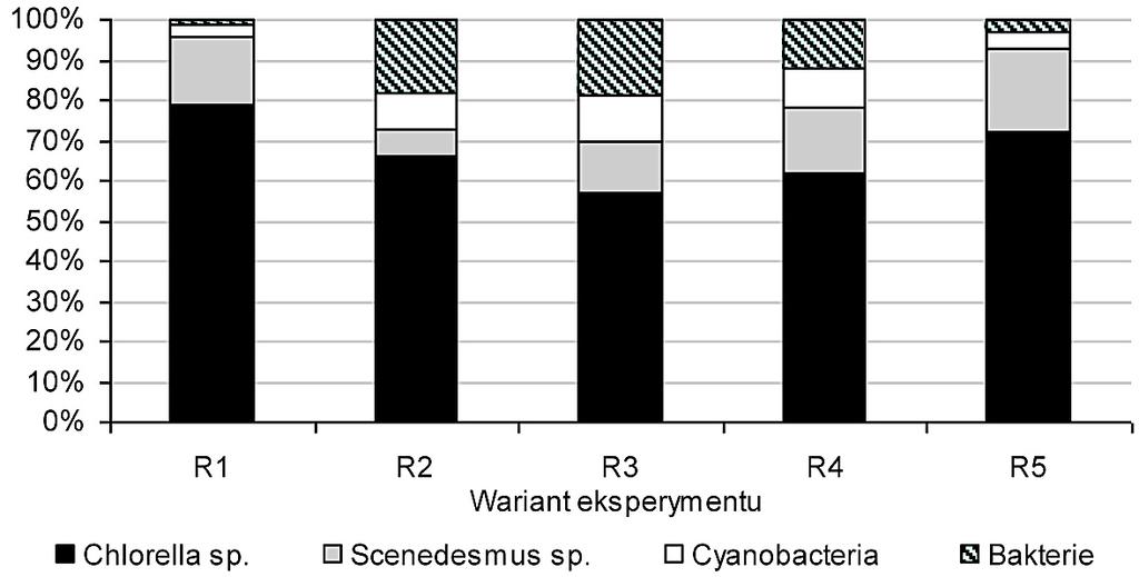 Rys. 2. Zmiany koncentracji biomasy glonów w fotobioreaktorach w zależności od wariantu technologicznego Fig. 2. Changes of the algae biomass concentration in photobioreactor depending on the technological variant Rys.
