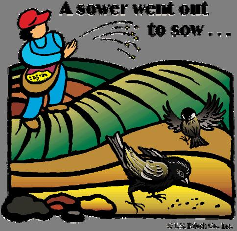 Fifteenth Sunday in Ordinary Time Page Five FIFTEENTH IN ORDINARY TIME FIRST READING: Isaiah 55:10 11 RESPONSORIAL PSALM: Psalm 65:10, 11, 12 13, 14 SECOND READING: Romans 8:18 23 GOSPEL: Matthew
