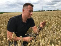 https://www. że jakość Top Farms Nasiona nie odbiega od zachodnich standardów, a często jest nawet lepsza od towaru, który mieli u siebie.