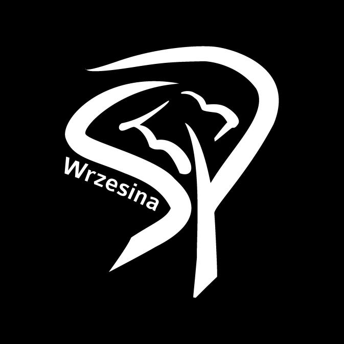 Szkolny zestaw podręczników i materiałów ćwiczeniowych Rok szkolny 2019/2020 Na podstawie art.22ab ust.2 ustawy z dnia 7 września 1991r. o systemie oświaty (Dz.U. z 2016r.