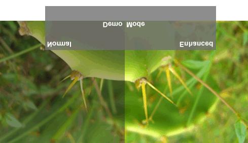 Text (Tekst): Powoduje ustawienie idealnej jasności i ostrości do wyświetlania tekstu. Warm (Ciepły): Powoduje zwiększenie temperatury kolorów.