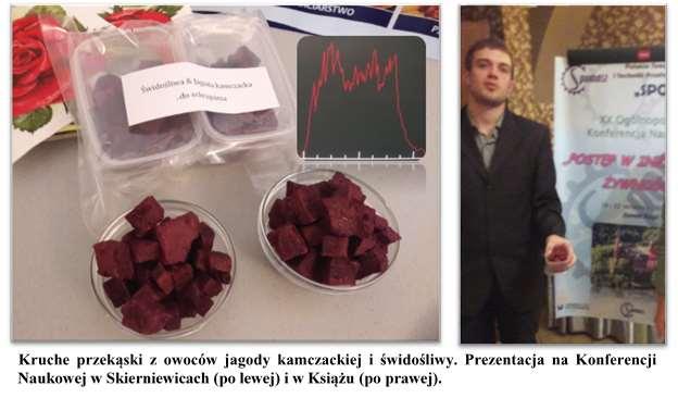 Przekąski suszone o wysokiej bioaktywności Świdośliwa + Jagoda