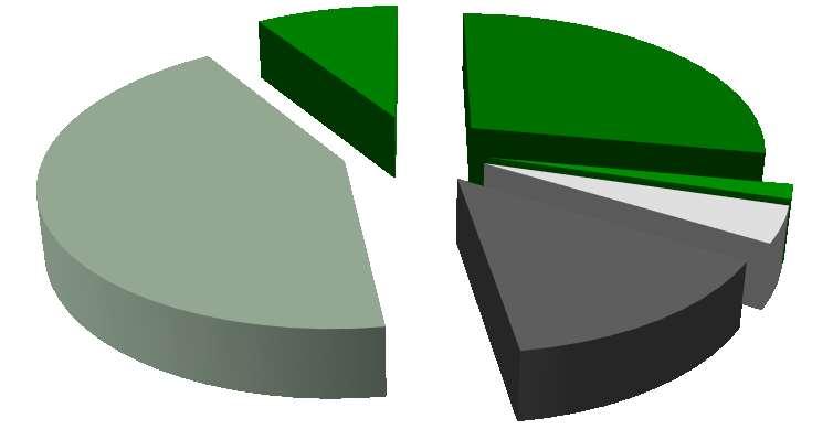 Procentowy skład frakcji lipidowej w pyłku (Szczęsna, 2006) kwas linolenowy 43% Inne 9% kwas palmitynowy 28% kwas linolowy 14% kwas stearynowy