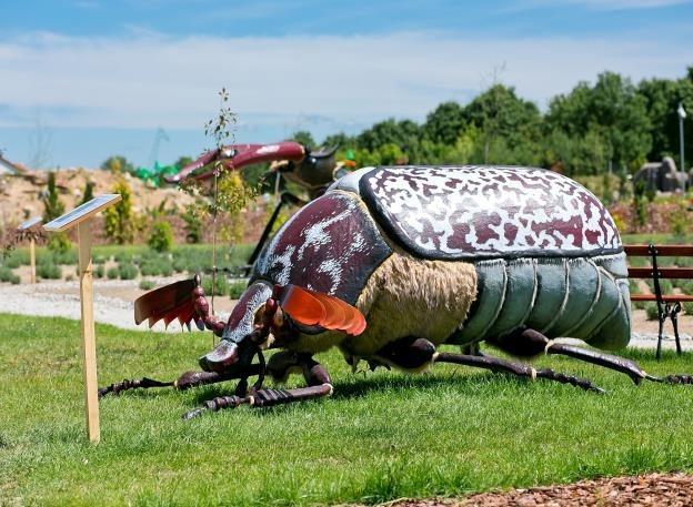 WYCIECZKA DO DELI PARKU Deli Park to niesamowite miejsce, pełne atrakcji dla dzieci i dorosłych. Spośród innych parków wyróżnia się tym, że ma charakter edukacyjno rozrywkowy.