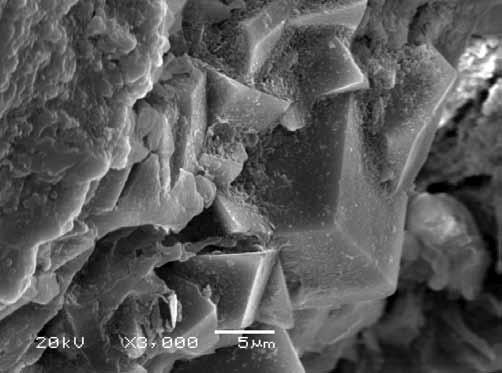 Tuf wulkaniczny w postaci skały widoczne frakcje występujące w tufie: kryształy sanidynu w osnowie mikrokrystalicznej Fig. 5. Microstructure of Filipowice tuff prasowania 200 MPa.