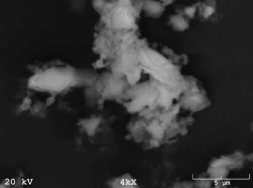 Proces spiekania przeprowadzono w laboratoryjnym piecu rurowym w temperaturze 900 C w atmosferze azotu. Czas spiekania izotermicznego próbek wynosił 60 minut.